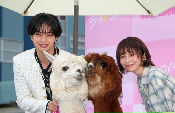 中島健人&長濱ねる、スイカ割りの実施に本物のアルパカまで登場でびっくり!『ラブ≠コメディ』公開直前イベント開催