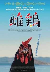 ニワトリの目線から人間社会を描く『雌鶏』9月公開決定！主演の黒い雌鶏を捉えたキービジュアルが解禁