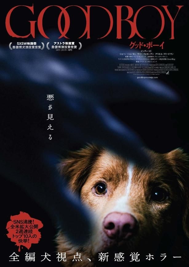 入場者特典のポストカードにも使用される『GOOD BOY/グッド・ボーイ』特別ビジュアル