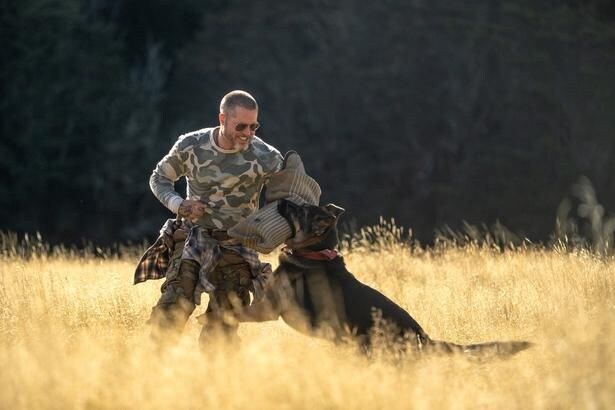 ブラッド・ピット主演『ハート・オブ・ビースト』退役軍人と義足の元軍用偵察犬の絆を収めた本予告&場面写真