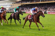 櫻坂46元メンバーが凱旋門賞を現地観戦！ 薄暮の競馬場で異彩放つ“美しい笑顔”が反響「お嬢様！」「素敵な風景と美女」