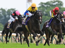 オークス馬カムニャックの“一強”は崩れず　気になる新興勢力の２騎【秋華賞】