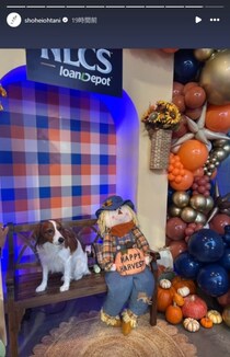 「デコ君お疲れ？」「眠そう」リーグMVP大谷翔平が愛犬デコピンの最新ショット公開　“キュートな表情”が話題「癒されます」