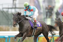 エネルジコをGⅠ戴冠に導いたルメール騎手の巧みな手綱さばき　過去10年５勝を証明する熟知した“凄み“【菊花賞】