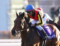 「ベリーベリーホース」格の違いを見せつけたレガレイラ　冷静な騎乗が光った戸崎圭太騎手の手腕【エリザベス女王杯】