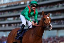 唯一の外国馬カランダガンのリアル評価は？ 日本の大将格ダノンデサイルが主軸【ジャパンC】