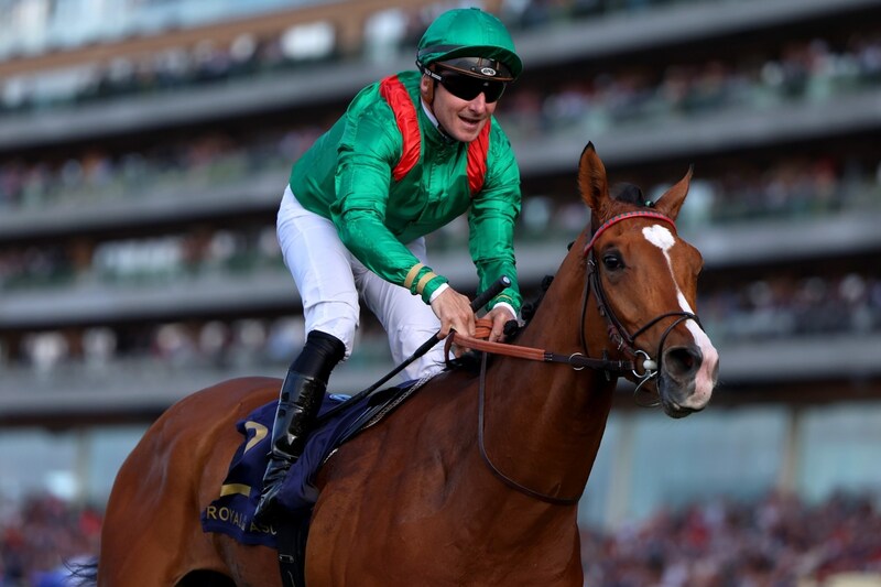 唯一の外国馬カランダガンのリアル評価は？ 日本の大将格ダノンデサイルが主軸【ジャパンC】