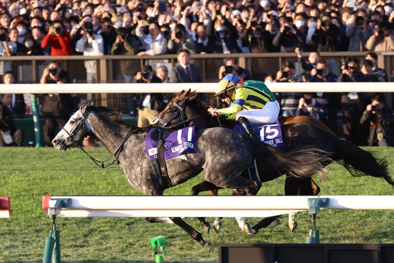 「感動、衝撃、心配」SNS騒然のジャパンC、計3頭の落馬に空馬が先頭ゴール、驚異のレコード決着…「色々カオスなレースだった!!」