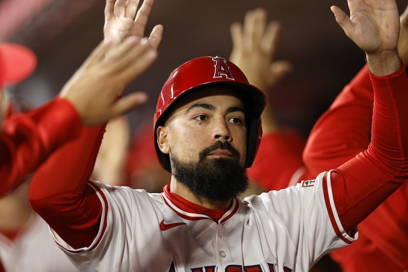 “史上最悪契約”のレンドーンとエンジェルスの関係に米メディアが見解　球団対応を非難「なぜもっと早く見切らなかったのか」