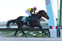 Ｖ条件揃ったルクソールカフェが主軸　全兄はフェブラリーＳ連覇、脚質の自在性、左回り問題なし【チャンピオンズC】