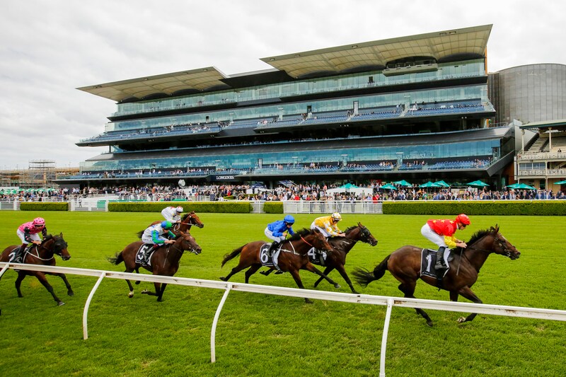 「めちゃくちゃ美人」京都競馬場に“人気女子アナ”降臨！ 黒ジャケット×白Tシャツにファン釘付け「すごっ！」