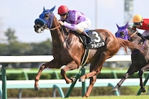 重賞勝ち馬“ゼロ”で確たる本命馬不在　良血アランカールよりも主軸に推すべき期待の若駒【阪神JF】