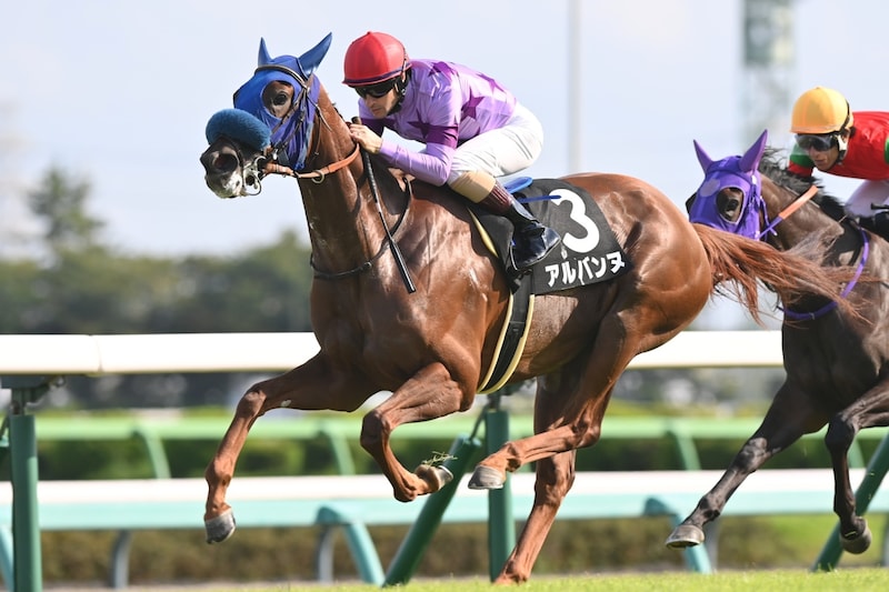 重賞勝ち馬“ゼロ”で確たる本命馬不在　良血アランカールよりも主軸に推すべき期待の若駒【阪神JF】