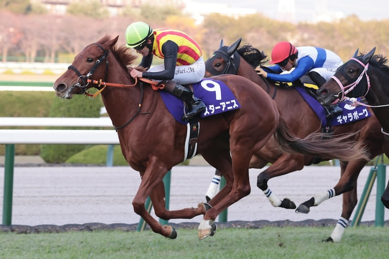 スターアニスのスピード能力は桜の女王にも期待！ 一方、鞍上の戦略に疑問残った１番人気馬の敗北【阪神JF】