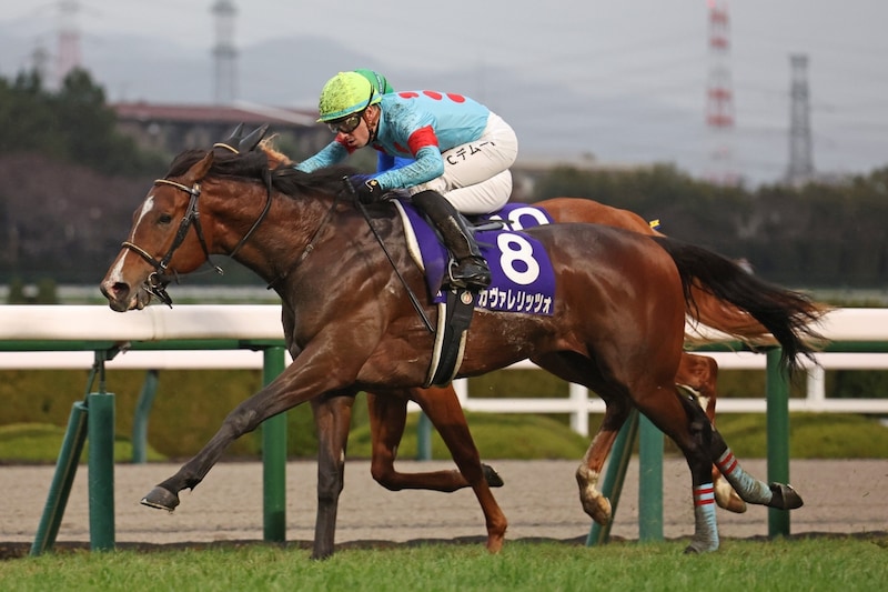 スリリングな激戦を制したカヴァレリッツォ　２人の外国人トップ騎手が火花を散らした極上の手腕【朝日杯FS】