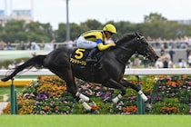 翌年のクラシック戦線に直結　将来性豊かな若駒トップ候補はアンドゥーリルで堅い!?【ホープフルS】