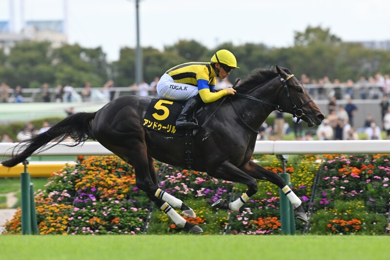 翌年のクラシック戦線に直結　将来性豊かな若駒トップ候補はアンドゥーリルで堅い!?【ホープフルS】