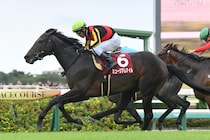 レガレイラでも、ダノンデサイルでもない…過去10年“３つのデータ”から導き出される暮れのグランプリホースとは？【有馬記念】