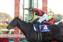 有馬記念で発表された衝撃数字「129.5」　21世紀初の700億超えに日本人震撼「嘘だろ…」「レベチすぎ」