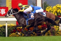 【名馬列伝】記憶にも記録にも残るステイゴールド　海外では無敵、種牡馬として脚光浴びた“小さな暴君“の黄金旅程