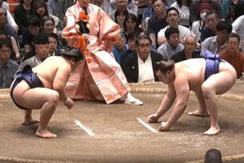 「健康美がすごい」「姿勢が完璧」大相撲観戦をする五輪メダリストの上品な佇まいに視線集中「ホントお綺麗です」