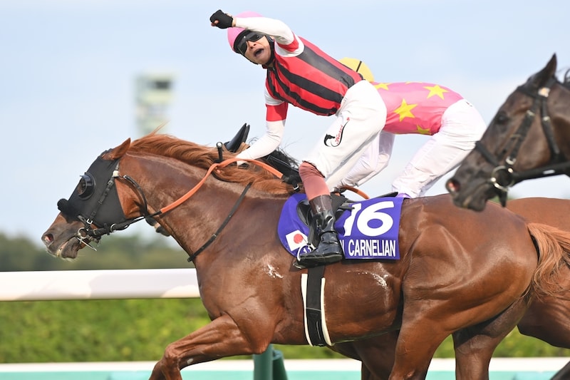 127度目のGⅠ挑戦でついに開花…鞍上の鬼気迫るラスト執念は見事！ ウインカーネリアンの“晩成血統”熟知したトレーナー、陣営の手腕【スプリンターズS】