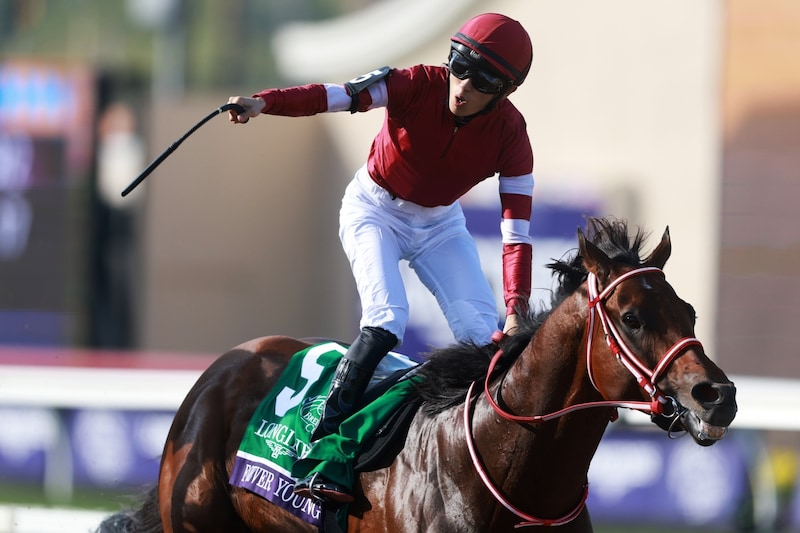 2025年中央競馬トピックスベスト10を独自選定　日本馬初の快挙、異国で起きた三冠牝馬の悲劇、大盛況の有馬記念