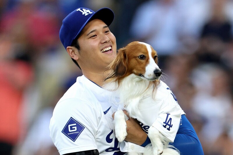 「贅沢すぎるだろ」大谷翔平、愛犬デコピンと自主トレ!? 本拠地を満喫する姿に歓喜の声「今年も始球式やる気満々」「クラブハウスにいるの初めて見た」