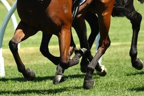 もう騎乗姿を見せられない…競馬界に届いた悲報も“新たなステップ”に期待「精進しようとすぐに切り替えることができました」