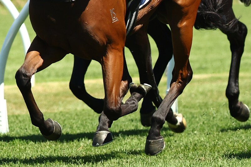 もう騎乗姿を見せられない…競馬界に届いた悲報も“新たなステップ”に期待「精進しようとすぐに切り替えることができました」