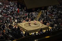 「国技館に美少女が」大相撲の溜席で見つかった“女性ゴルフタレント”　夢中で観戦する姿に視線集中「ナイス相撲ギャル」