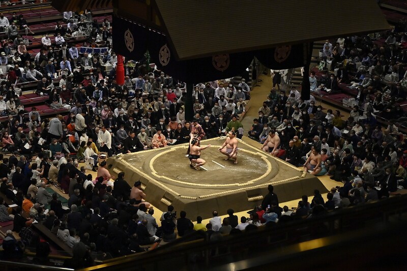 「国技館に美少女が」大相撲の溜席で見つかった“女性ゴルフタレント”　夢中で観戦する姿に視線集中「ナイス相撲ギャル」