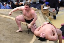 新大関・安青錦の２場所連続Vに母国メディア歓喜！ 異例の号外「日本に移住し数年でトップクラスの力士へ」