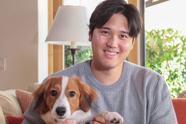大谷翔平の愛犬デコピンがNY晩餐会で贈られた“勲章”　３年前の初登場から日米球界を席巻する人気者「綺麗でスゴい犬」