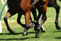 「これは嬉しいお知らせ」JRAから待望の朗報も、一部で賛否「なんか損した気分」「契約者には特典を…」