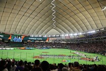 「 毎日野球観戦漬け...」父は元ロッテ最多勝右腕...タレント娘が東京ドームの盛り上がりに大興奮「画面越しから伝わる熱狂！」【WBC】
