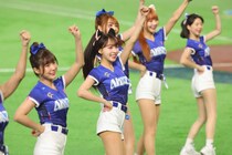 突然のサプライズに東京ドーム歓喜！ 台湾チア12人がグラウンドに勢揃い→笑顔満点パフォーマンスにカメラのシャッター音途切れず【WBC】