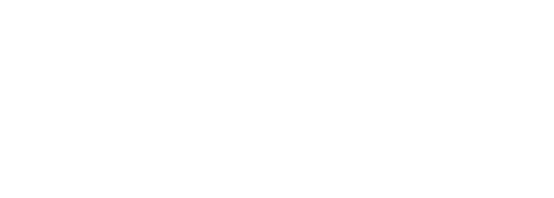 Slugger
