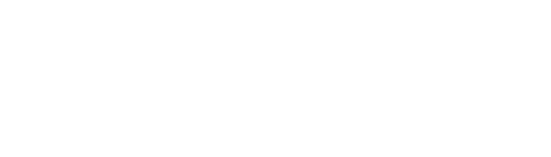 DUNK SHOT