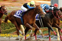 砂のディープインパクト・カネヒキリ　屈腱炎から２度の奇跡の復活を遂げた不屈のダート王【名馬列伝】