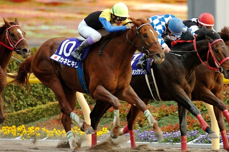 砂のディープインパクト・カネヒキリ 屈腱炎から2度の奇跡の復活を遂げた不屈のダート王【名馬列伝】