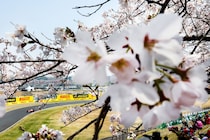 73歳の伝説ドライバー、元お天気キャスター美人アナと日本GPで異色コラボ「F1愛を詰め込みました」「かわいいがいっぱい！」