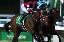 フォーエバーヤングまさかの２着…ドバイWC制覇ならず　同一年サウジC、ドバイ連勝の偉業逃す
