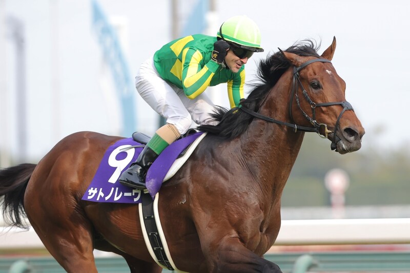 サトノレーヴが史上2頭目の連覇達成! 上位3頭は7歳以上ベテラン馬の結果に…世代交代は秋以降に持ち越しへ【高松宮記念】