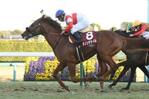 ダノンデサイルとクロワデュノールの明暗を分けるかもしれない枠番　馬場コンディション悪化なら評価逆転も【大阪杯】