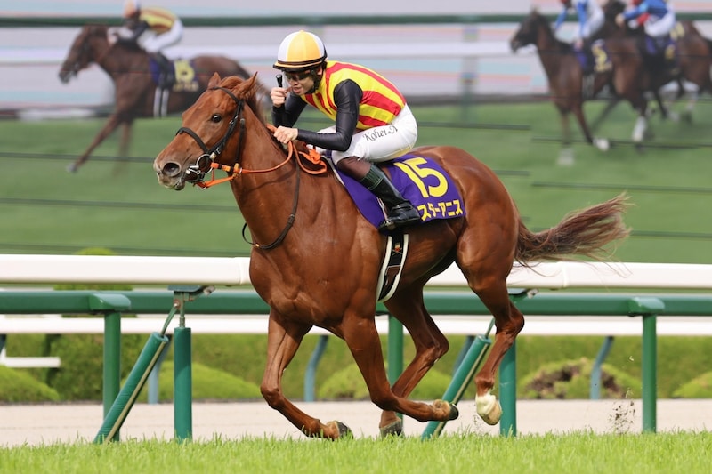 ２歳女王の強さが際立った桜花賞　気になる進路は二冠狙うオークスか、NHKマイルカップか