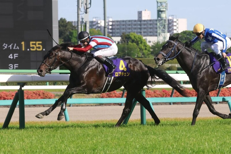 「えっえっえっ?!」中山競馬場で“元めざましお天気キャスター”がパドック中継で見切れる笑撃「いたんだ！」