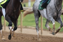地方競馬から超ビッグニュース！ 相次ぐ“大物起用”に騒然「来場日すごいことになりそう」「GWの大井と船橋は賑わうな」