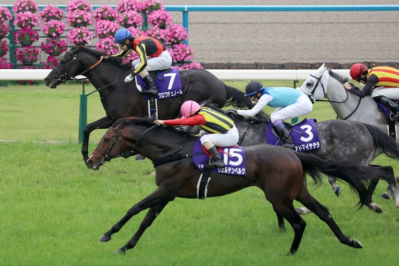 天皇賞史上に残る大激戦　２センチ決着もクロワデュノールの絶対能力に脱帽