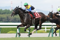 スピード＋タフさも要求される府中のマイル戦　“二強対決”が濃厚も一角崩し候補は東京巧者のベテラン馬【ヴィクトリアマイル】